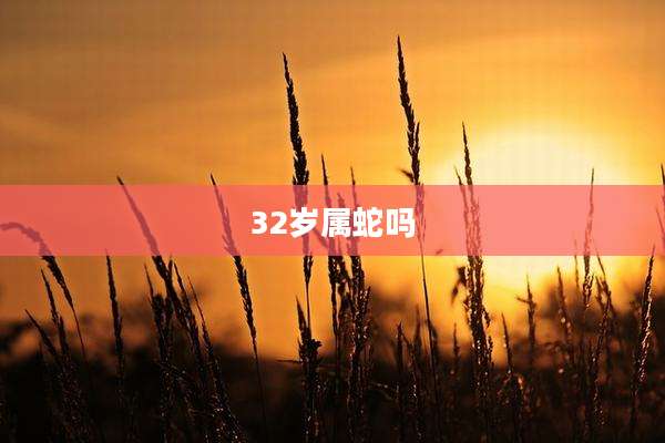 32岁属蛇吗