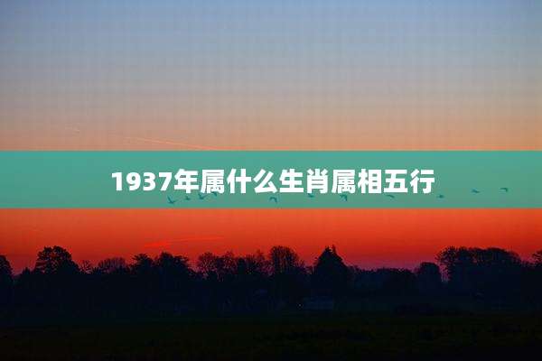1937年属什么生肖属相五行