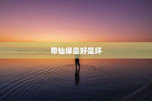 带仙缘是好是坏