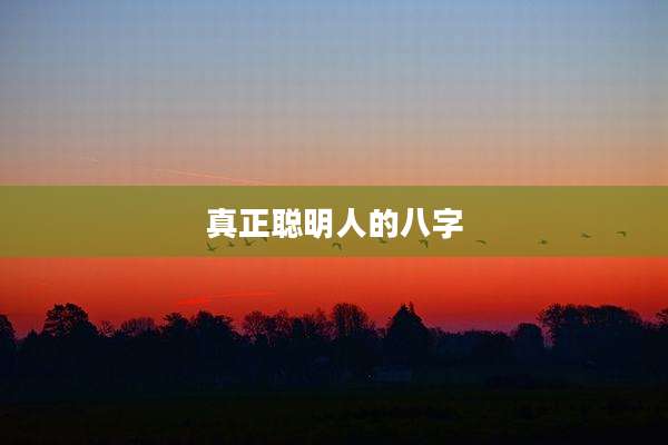真正聪明人的八字