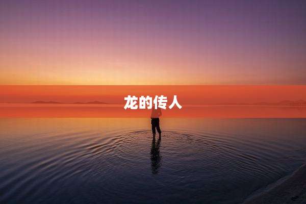 龙的传人