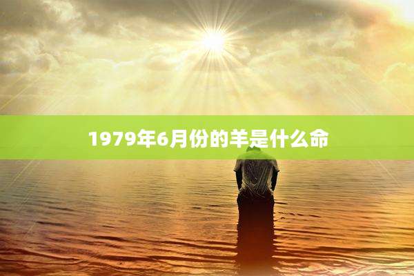 1979年6月份的羊是什么命