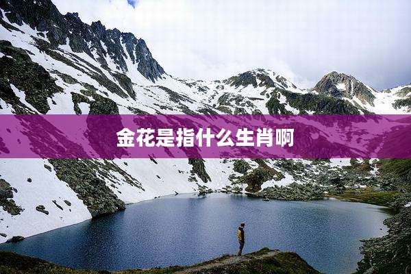 金花是指什么生肖啊