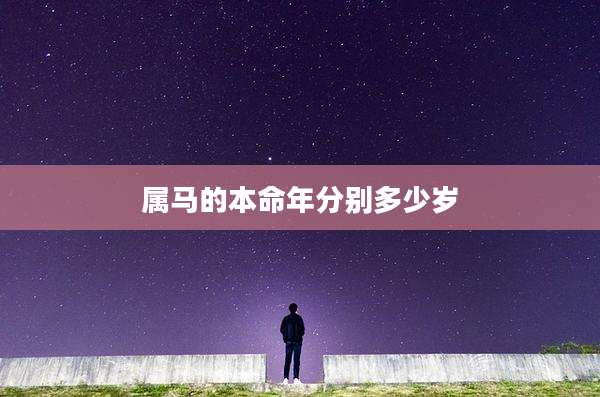 属马的本命年分别多少岁