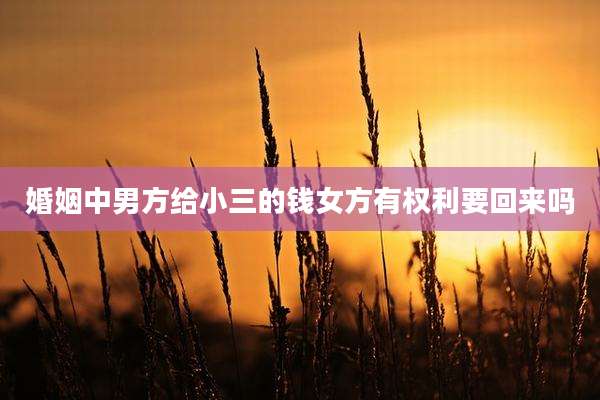 婚姻中男方给小三的钱女方有权利要回来吗