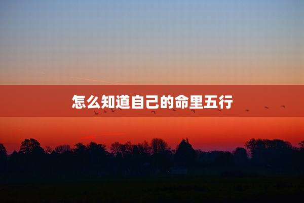 怎么知道自己的命里五行