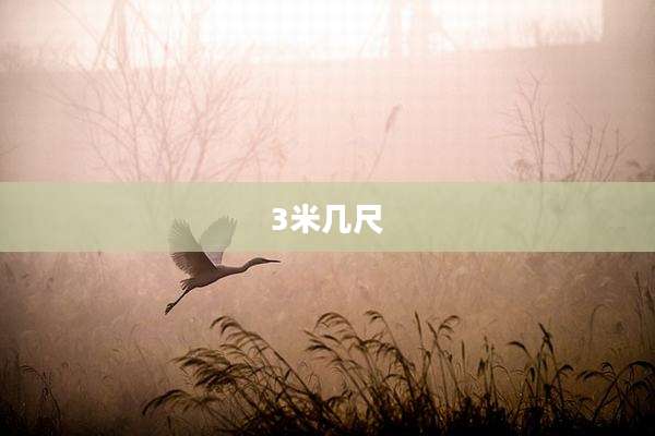 3米几尺