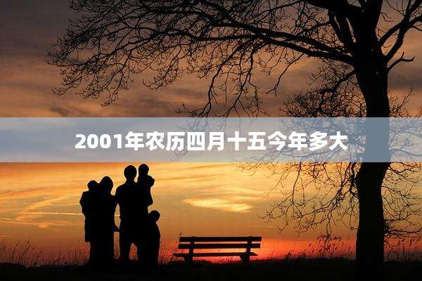 2001年农历四月十五今年多大