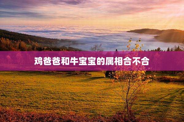 鸡爸爸和牛宝宝的属相合不合