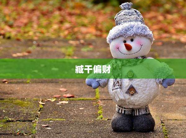 臧干偏财