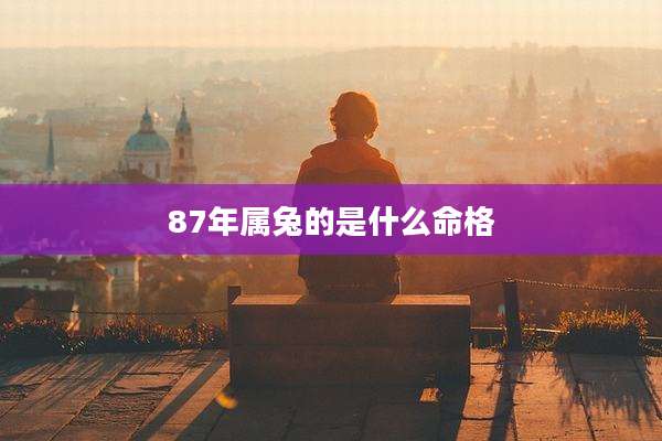 87年属兔的是什么命格