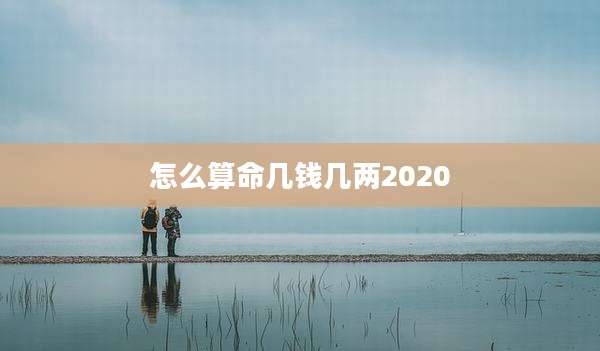 怎么算命几钱几两2020
