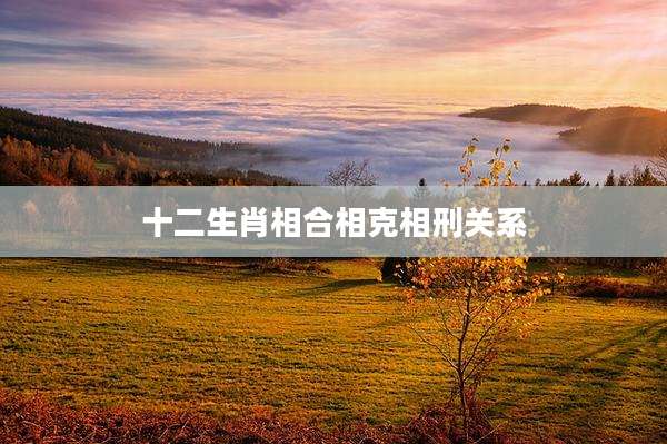 十二生肖相合相克相刑关系