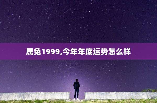 属兔1999,今年年底运势怎么样