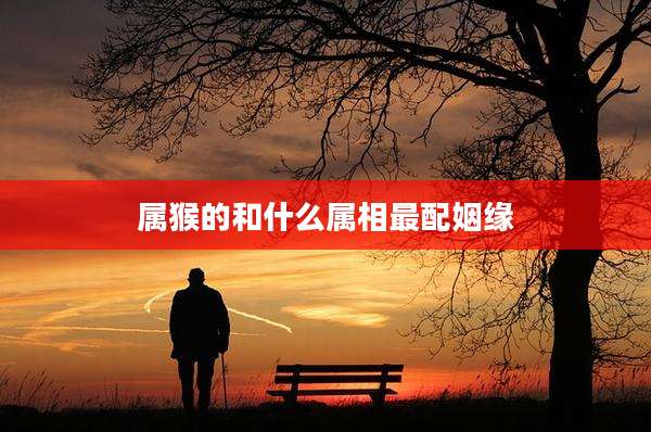 属猴的和什么属相最配姻缘