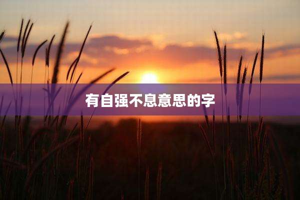 有自强不息意思的字