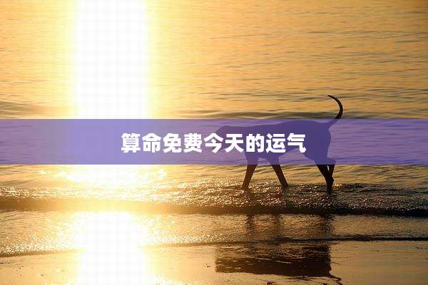 算命免费今天的运气
