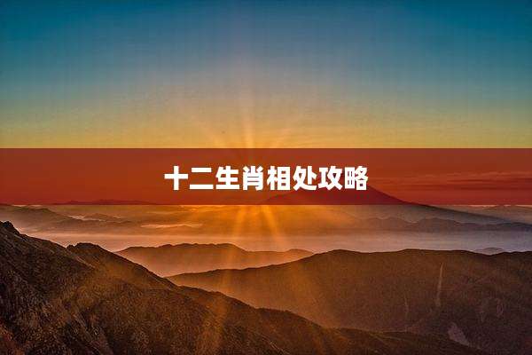 十二生肖相处攻略