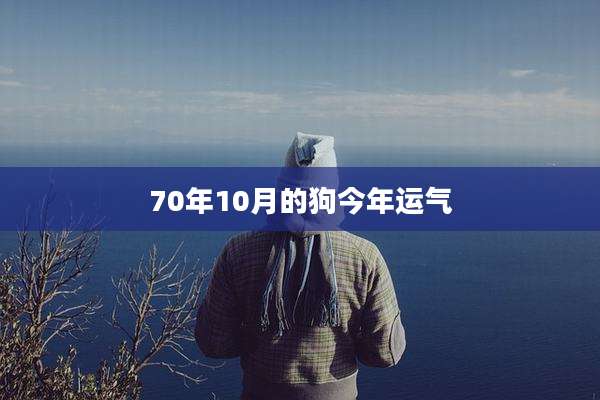 70年10月的狗今年运气
