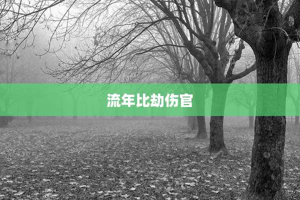 流年比劫伤官