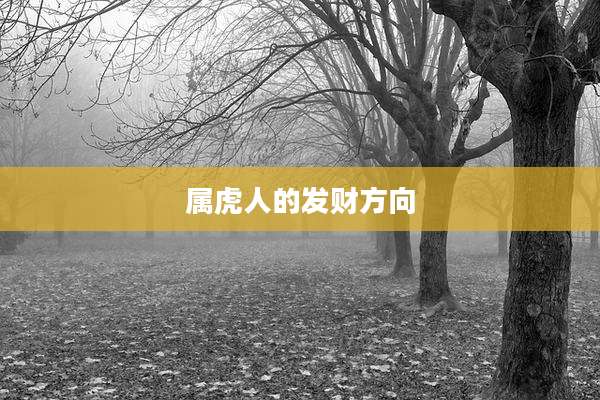 属虎人的发财方向