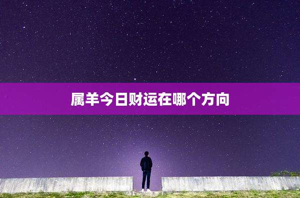 属羊今日财运在哪个方向