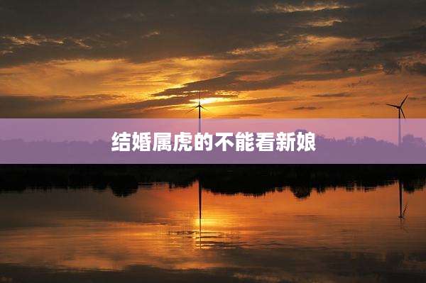 结婚属虎的不能看新娘