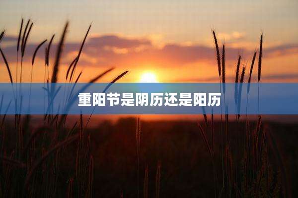 重阳节是阴历还是阳历