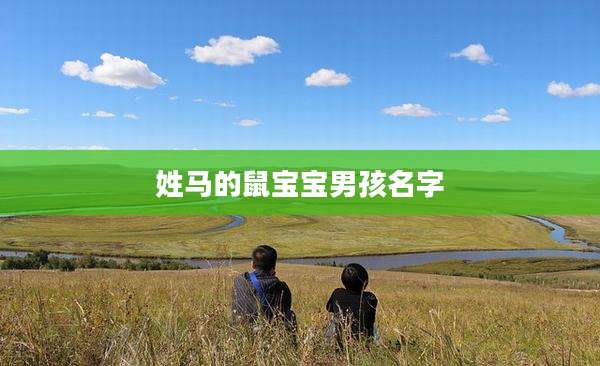 姓马的鼠宝宝男孩名字
