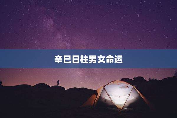 辛巳日柱男女命运