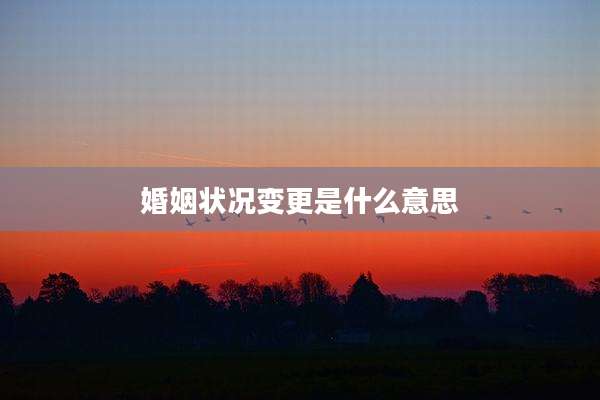 婚姻状况变更是什么意思