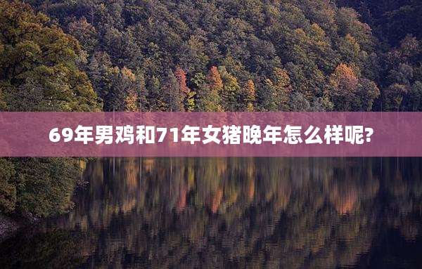 69年男鸡和71年女猪晚年怎么样呢?