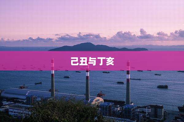 己丑与丁亥