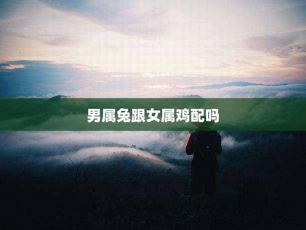 男属兔跟女属鸡配吗