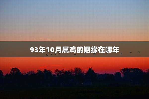 93年10月属鸡的姻缘在哪年