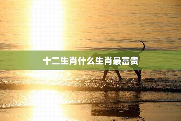 十二生肖什么生肖最富贵