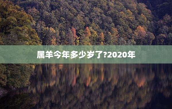 属羊今年多少岁了?2020年