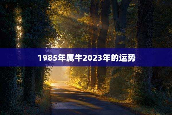 1985年属牛2023年的运势