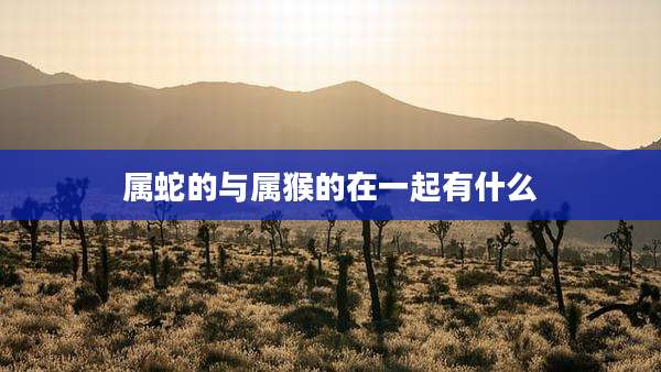 属蛇的与属猴的在一起有什么