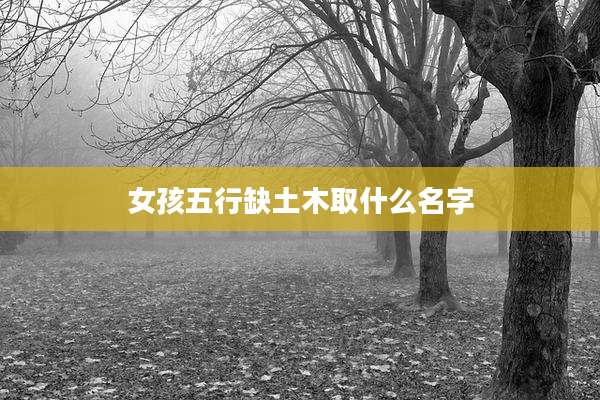 女孩五行缺土木取什么名字