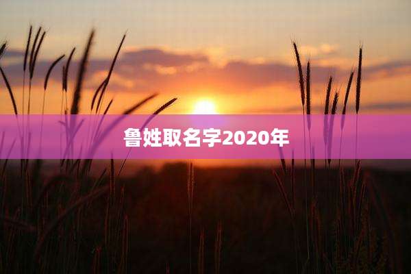 鲁姓取名字2020年