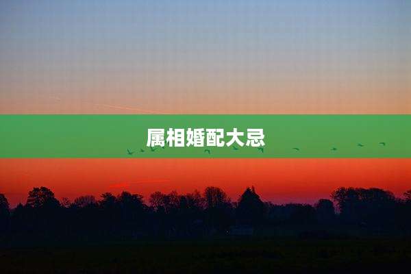属相婚配大忌