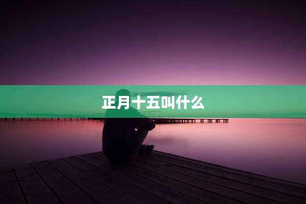 正月十五叫什么