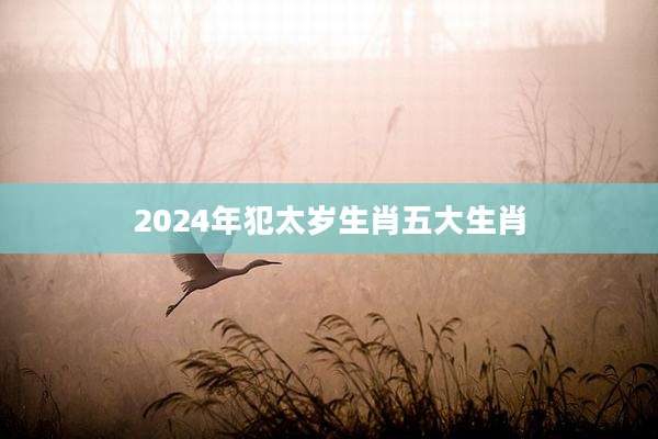 2024年犯太岁生肖五大生肖