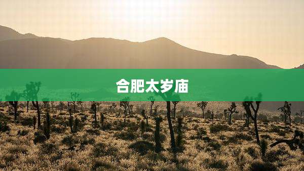 合肥太岁庙