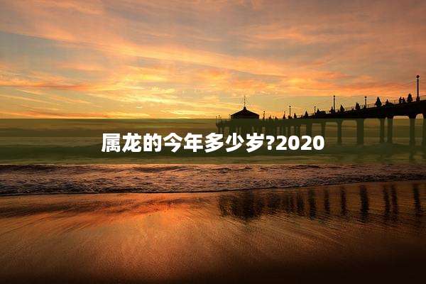 属龙的今年多少岁?2020