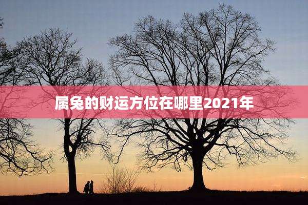 属兔的财运方位在哪里2021年