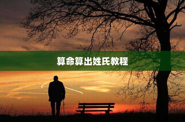 算命算出姓氏教程