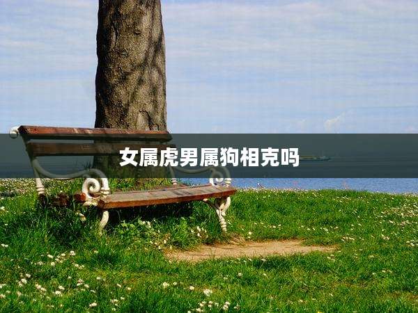 女属虎男属狗相克吗