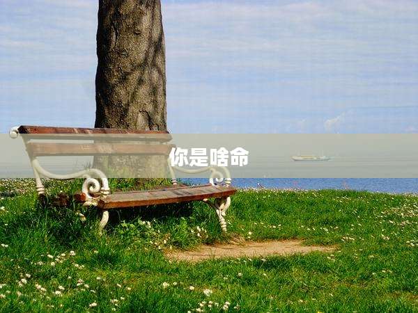 你是啥命